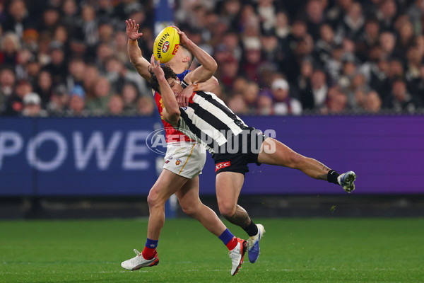 AFL 2025 Round 21 - Collingwood v Brisbane - A-61015396