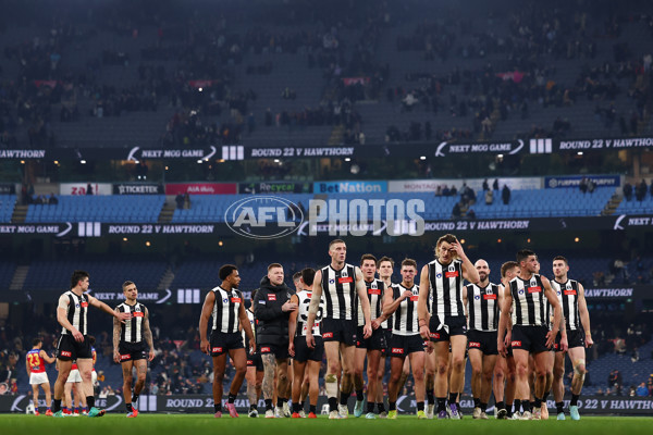 AFL 2025 Round 21 - Collingwood v Brisbane - A-61021126
