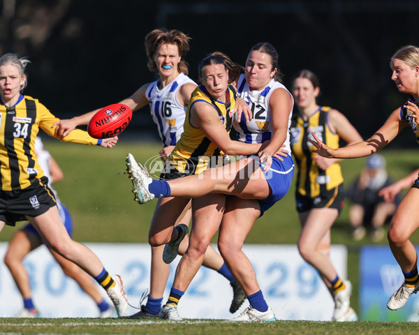VFLW 2025 Round 14 - Sandringam v North Melbourne - A-61023977