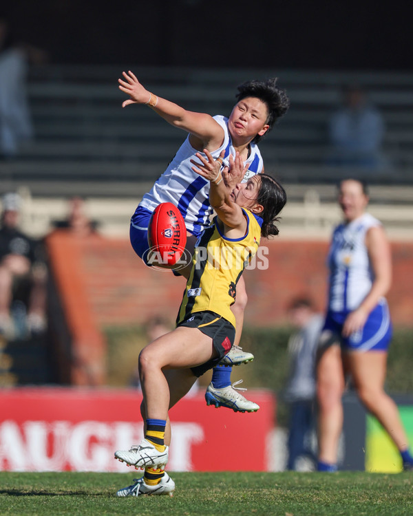 VFLW 2025 Round 14 - Sandringam v North Melbourne - A-61026557