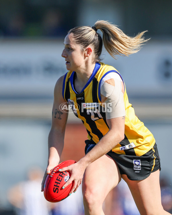 VFLW 2025 Round 14 - Sandringam v North Melbourne - A-61026560