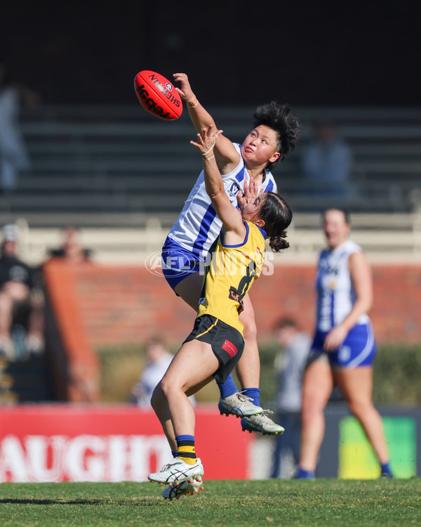 VFLW 2025 Round 14 - Sandringam v North Melbourne - A-61026562