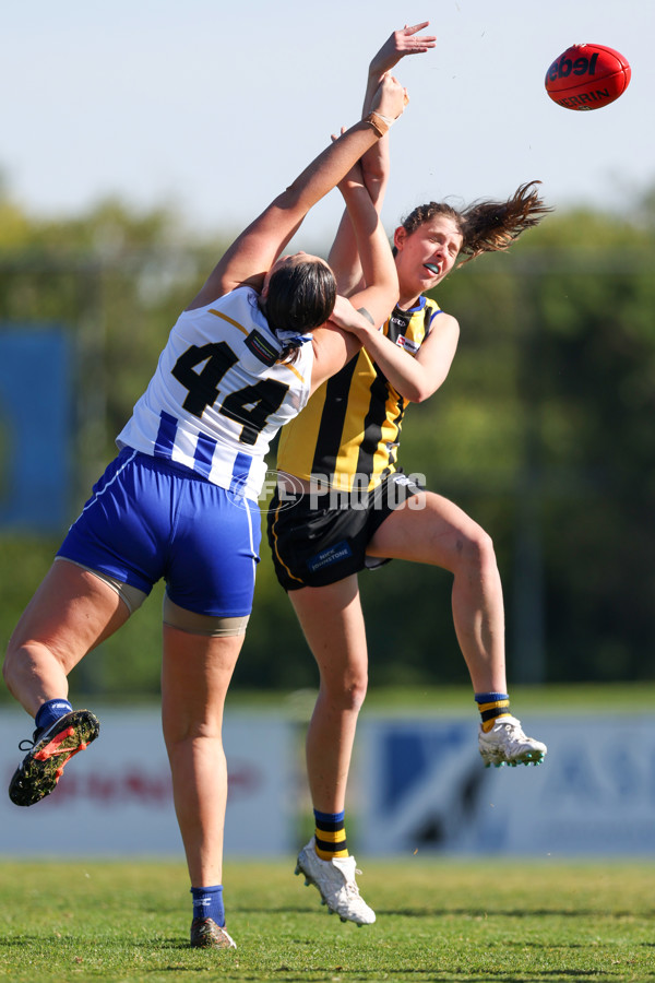 VFLW 2025 Round 14 - Sandringam v North Melbourne - A-61026563