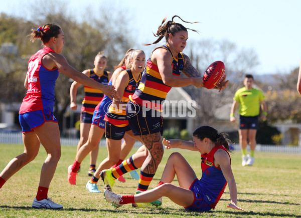 AFLW 2025 Practice Match - Adelaide v Melbourne - A-61026609