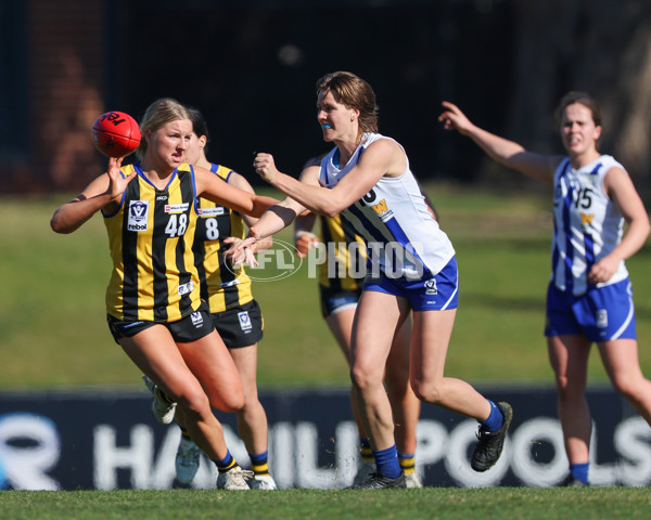 VFLW 2025 Round 14 - Sandringam v North Melbourne - A-61027346