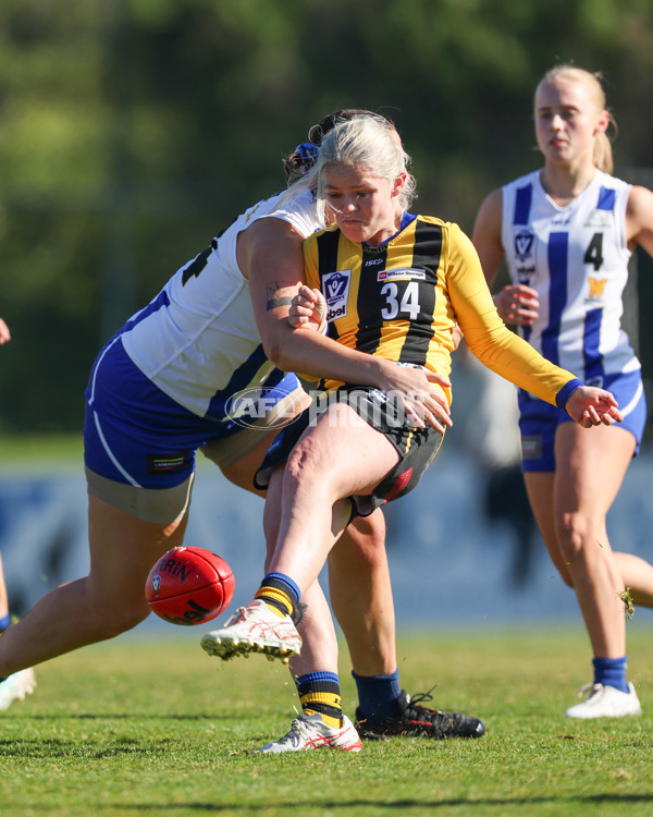VFLW 2025 Round 14 - Sandringam v North Melbourne - A-61027348