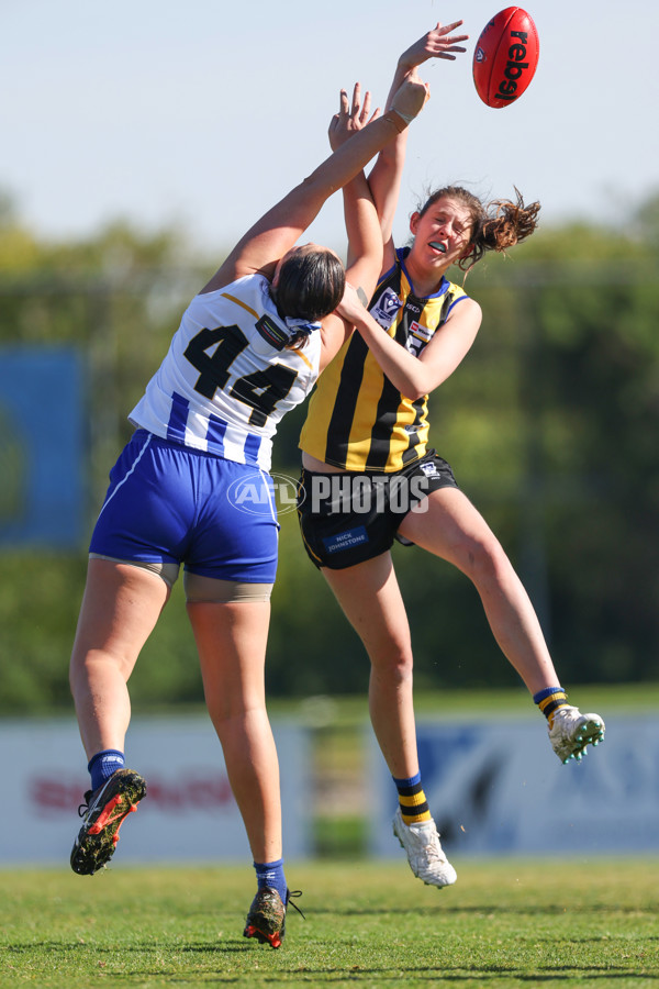 VFLW 2025 Round 14 - Sandringam v North Melbourne - A-61027349