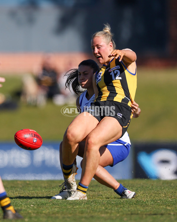 VFLW 2025 Round 14 - Sandringam v North Melbourne - A-61027350