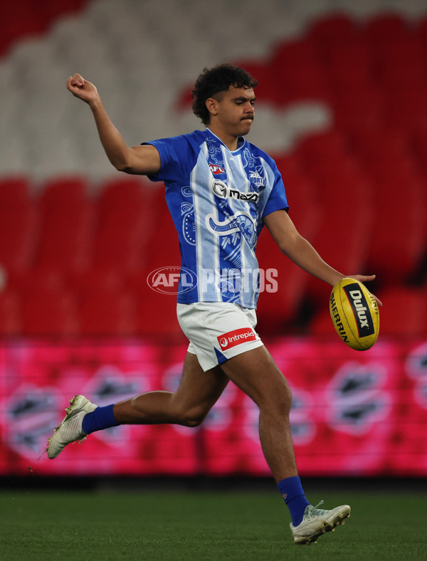 AFL 2025 Round 21 - St Kilda v North Melbourne - A-61027392