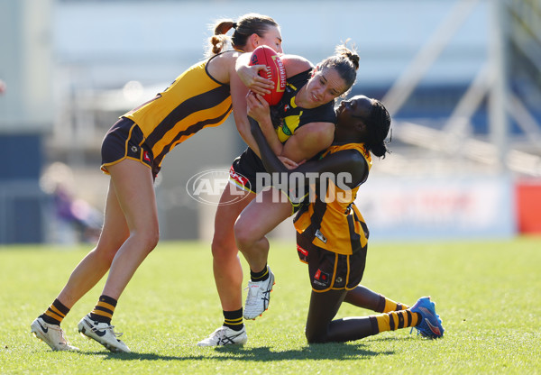 AFLW 2025 Practice Match - Richmond v Hawthorn - A-61029059