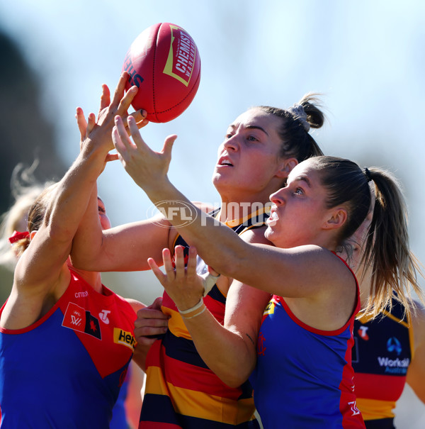 AFLW 2025 Practice Match - Adelaide v Melbourne - A-61029114