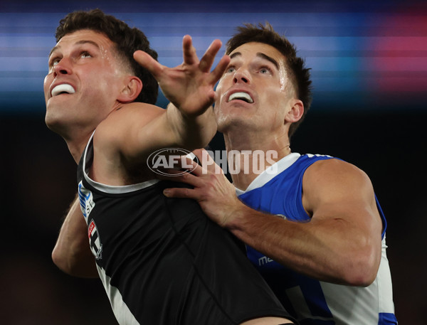AFL 2025 Round 21 - St Kilda v North Melbourne - A-61030344