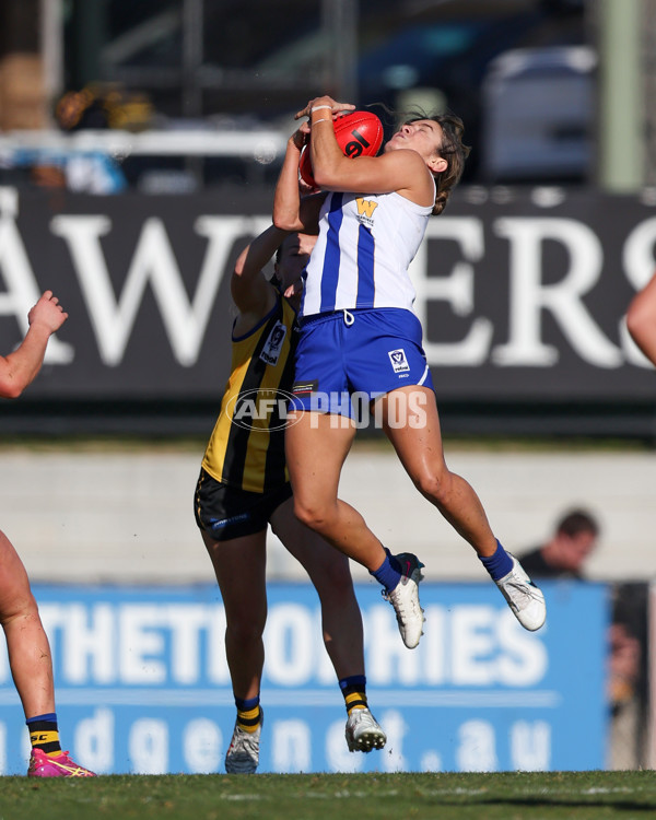 VFLW 2025 Round 14 - Sandringam v North Melbourne - A-61034515