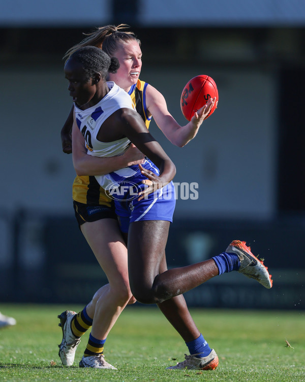 VFLW 2025 Round 14 - Sandringam v North Melbourne - A-61034518
