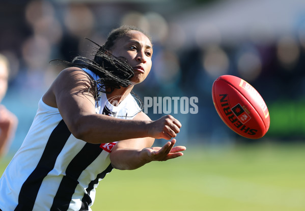 AFLW 2025 Practice Match - Port Adelaide v Collingwood - A-61038190