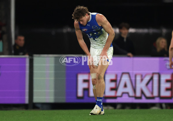 AFL 2025 Round 21 - St Kilda v North Melbourne - A-61042243
