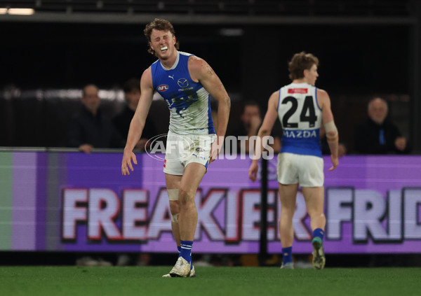 AFL 2025 Round 21 - St Kilda v North Melbourne - A-61043403