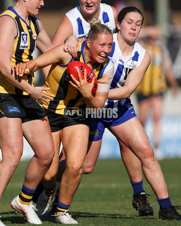 VFLW 2025 Round 14 - Sandringam v North Melbourne - A-61044804