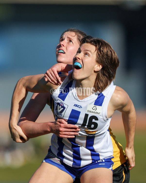VFLW 2025 Round 14 - Sandringam v North Melbourne - A-61044807