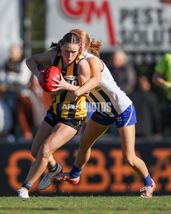 VFLW 2025 Round 14 - Sandringam v North Melbourne - A-61044808