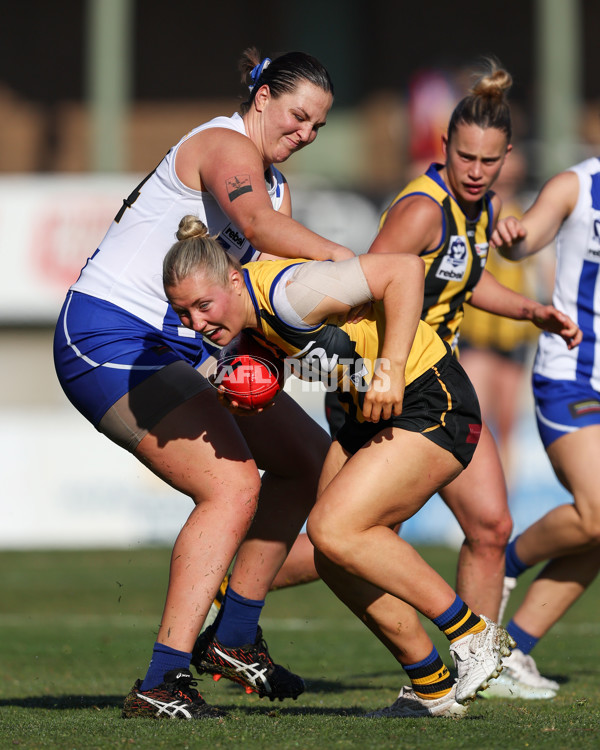 VFLW 2025 Round 14 - Sandringam v North Melbourne - A-61044809