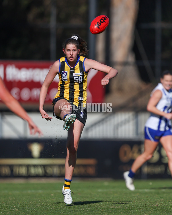 VFLW 2025 Round 14 - Sandringam v North Melbourne - A-61044824