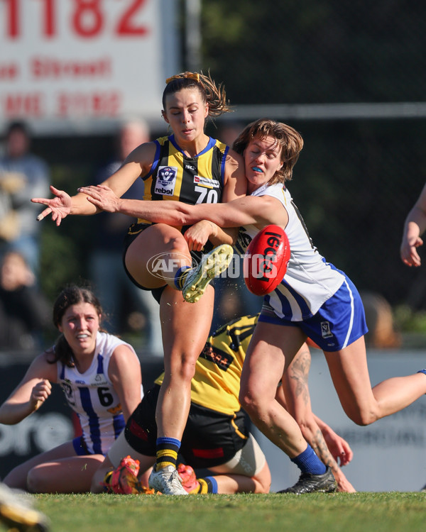 VFLW 2025 Round 14 - Sandringam v North Melbourne - A-61044829