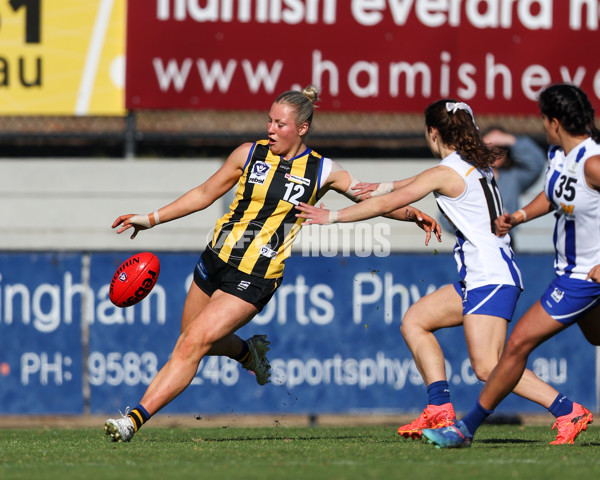VFLW 2025 Round 14 - Sandringam v North Melbourne - A-61044830