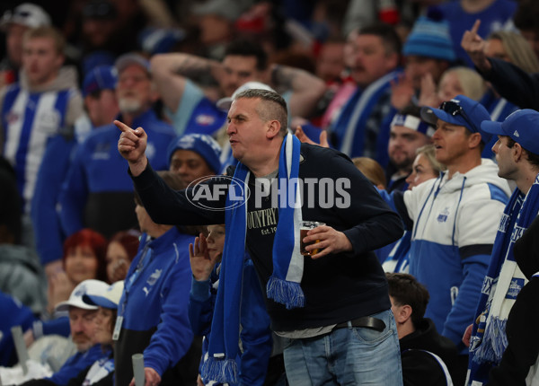 AFL 2025 Round 21 - St Kilda v North Melbourne - A-61044874