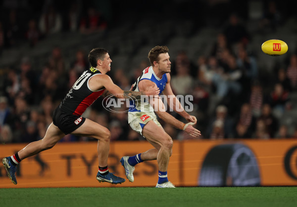 AFL 2025 Round 21 - St Kilda v North Melbourne - A-61046424