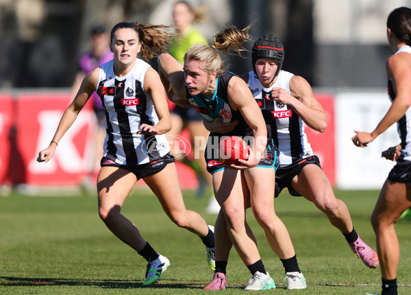 AFLW 2025 Practice Match - Port Adelaide v Collingwood - A-61048780