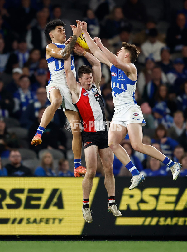 AFL 2025 Round 21 - St Kilda v North Melbourne - A-61048830