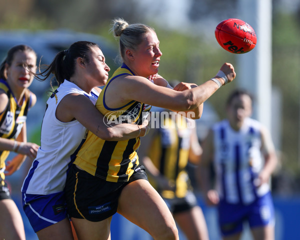 VFLW 2025 Round 14 - Sandringam v North Melbourne - A-61059427