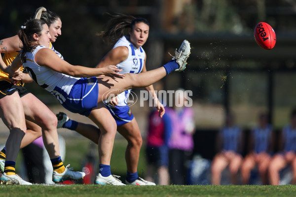 VFLW 2025 Round 14 - Sandringam v North Melbourne - A-61059436