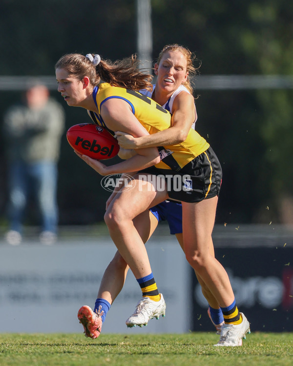 VFLW 2025 Round 14 - Sandringam v North Melbourne - A-61059437
