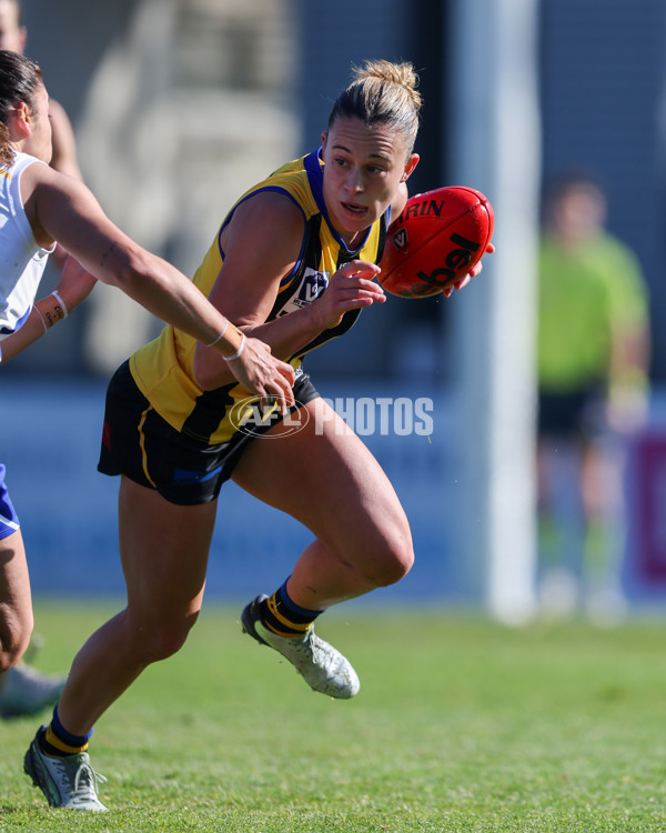 VFLW 2025 Round 14 - Sandringam v North Melbourne - A-61059438