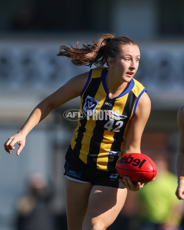 VFLW 2025 Round 14 - Sandringam v North Melbourne - A-61061369