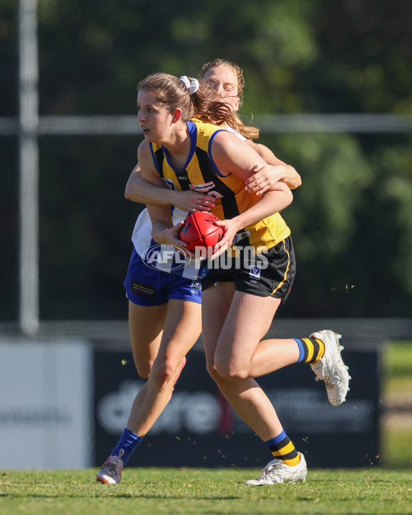 VFLW 2025 Round 14 - Sandringam v North Melbourne - A-61061378