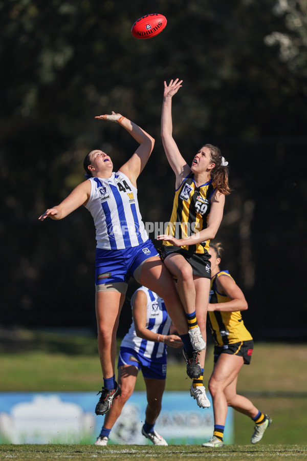 VFLW 2025 Round 14 - Sandringam v North Melbourne - A-61061380