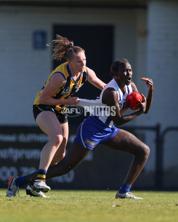 VFLW 2025 Round 14 - Sandringam v North Melbourne - A-61061382