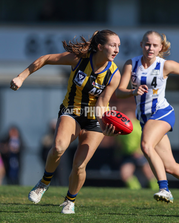 VFLW 2025 Round 14 - Sandringam v North Melbourne - A-61061401