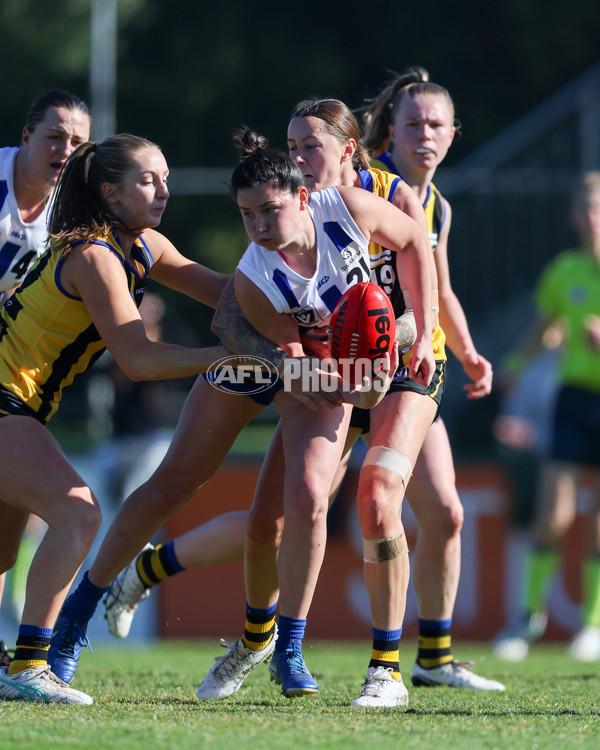 VFLW 2025 Round 14 - Sandringam v North Melbourne - A-61061402