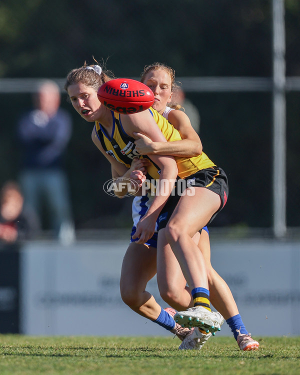 VFLW 2025 Round 14 - Sandringam v North Melbourne - A-61061403