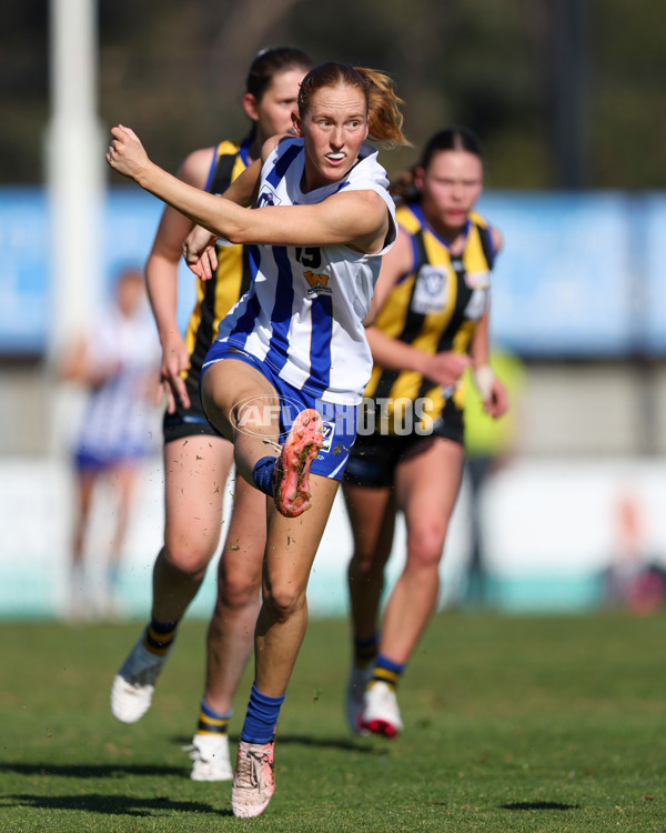 VFLW 2025 Round 14 - Sandringam v North Melbourne - A-61061408