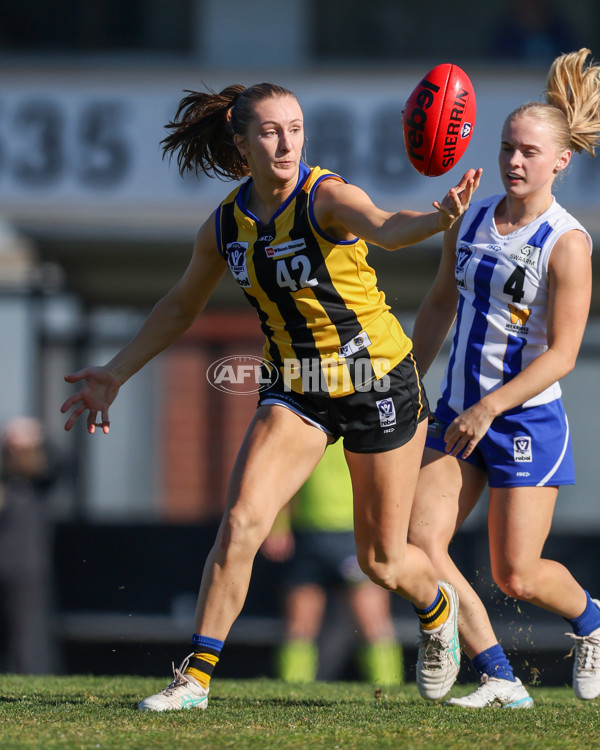 VFLW 2025 Round 14 - Sandringam v North Melbourne - A-61062079