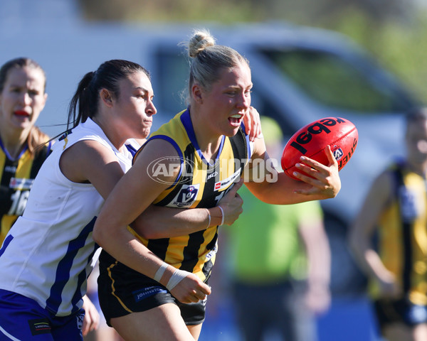 VFLW 2025 Round 14 - Sandringam v North Melbourne - A-61062086
