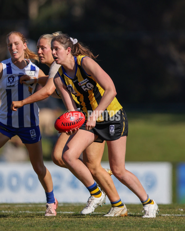 VFLW 2025 Round 14 - Sandringam v North Melbourne - A-61062088
