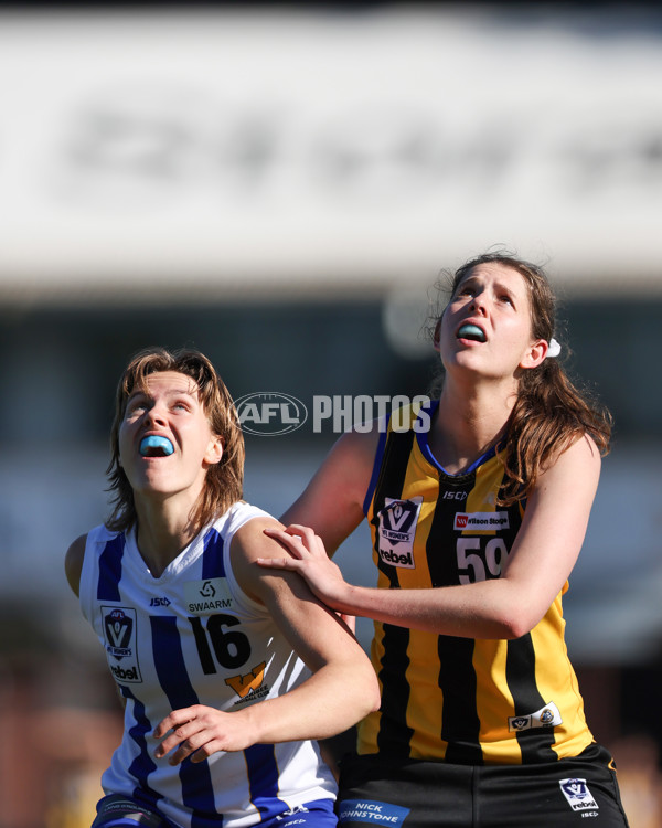 VFLW 2025 Round 14 - Sandringam v North Melbourne - A-61062090