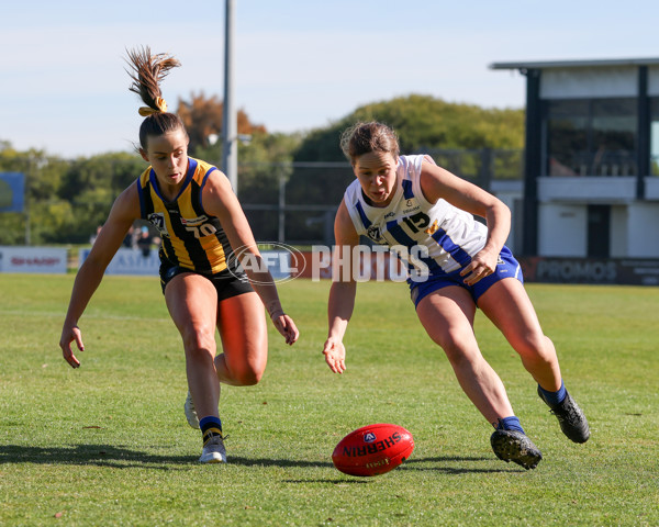 VFLW 2025 Round 14 - Sandringam v North Melbourne - A-61064148