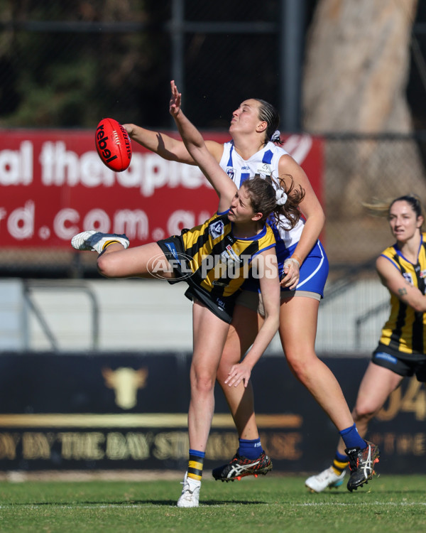 VFLW 2025 Round 14 - Sandringam v North Melbourne - A-61064149